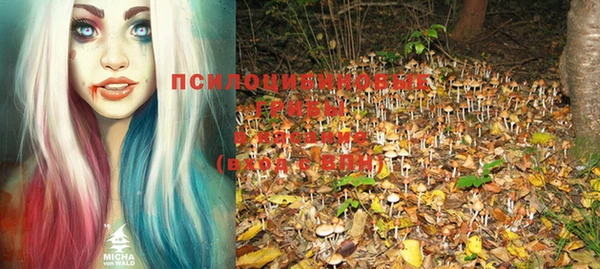 jwh Вяземский