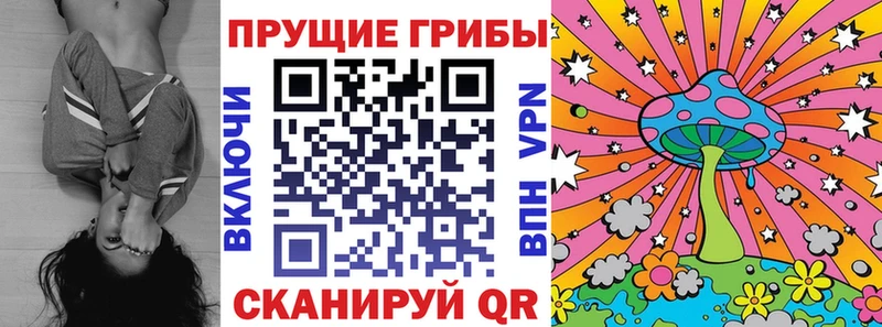 Купить закладки  Углич  Псилоцибиновые грибы Psilocybe 